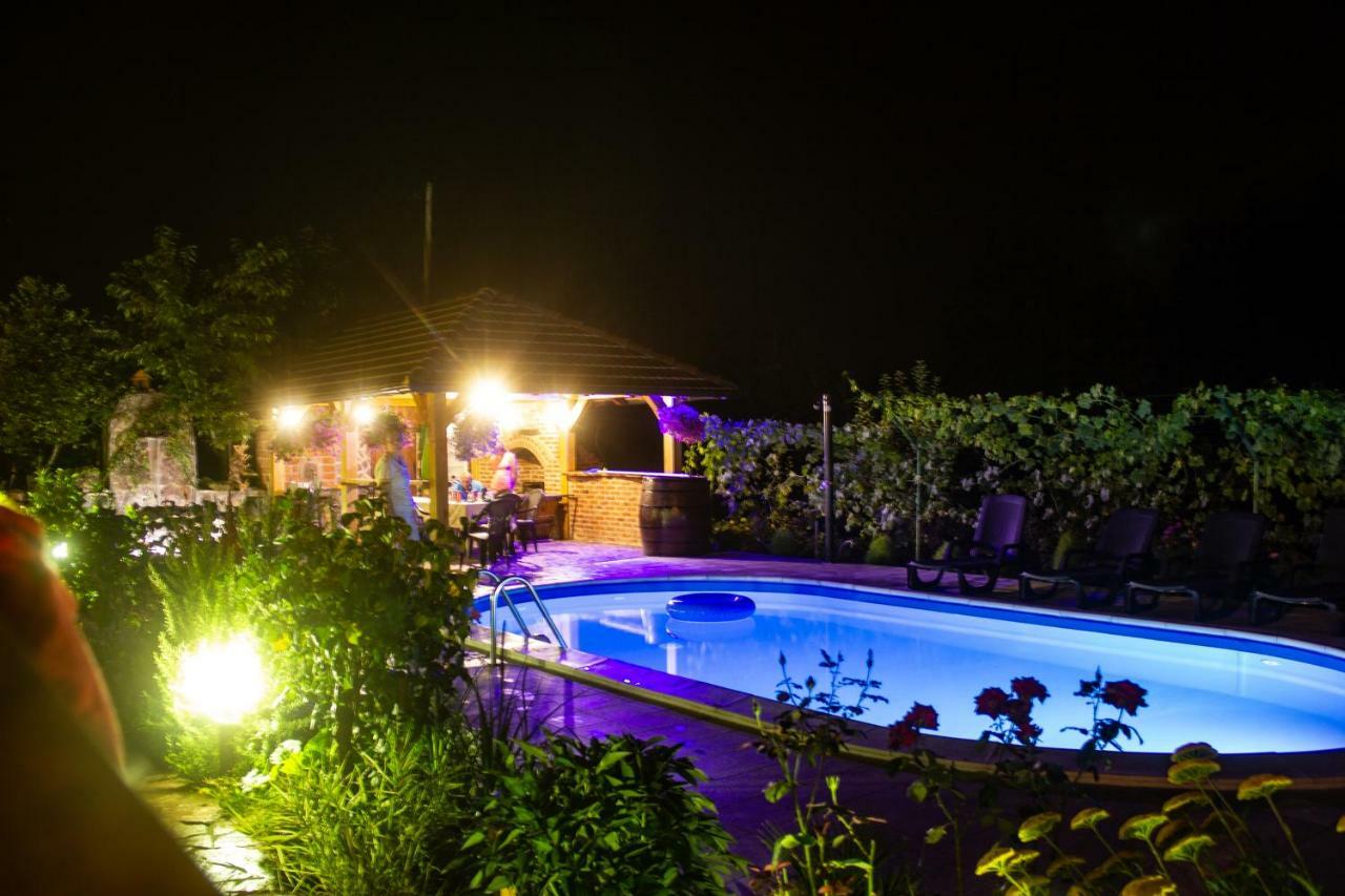 Villa Katarina With Pool Μπάνια Λούκα Εξωτερικό φωτογραφία